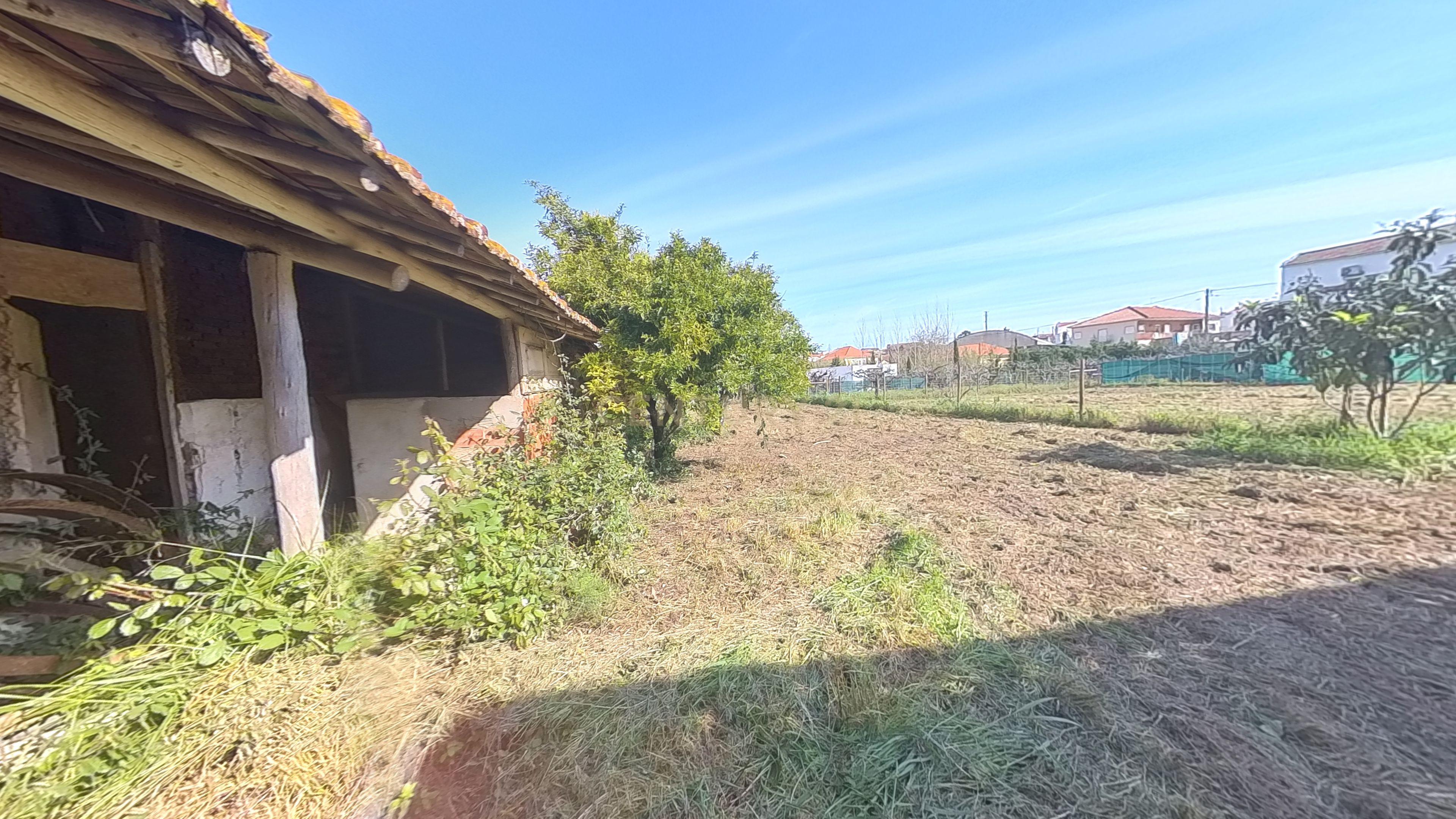 Moradia T3 com Adega e garagens no Vilar - Image 64