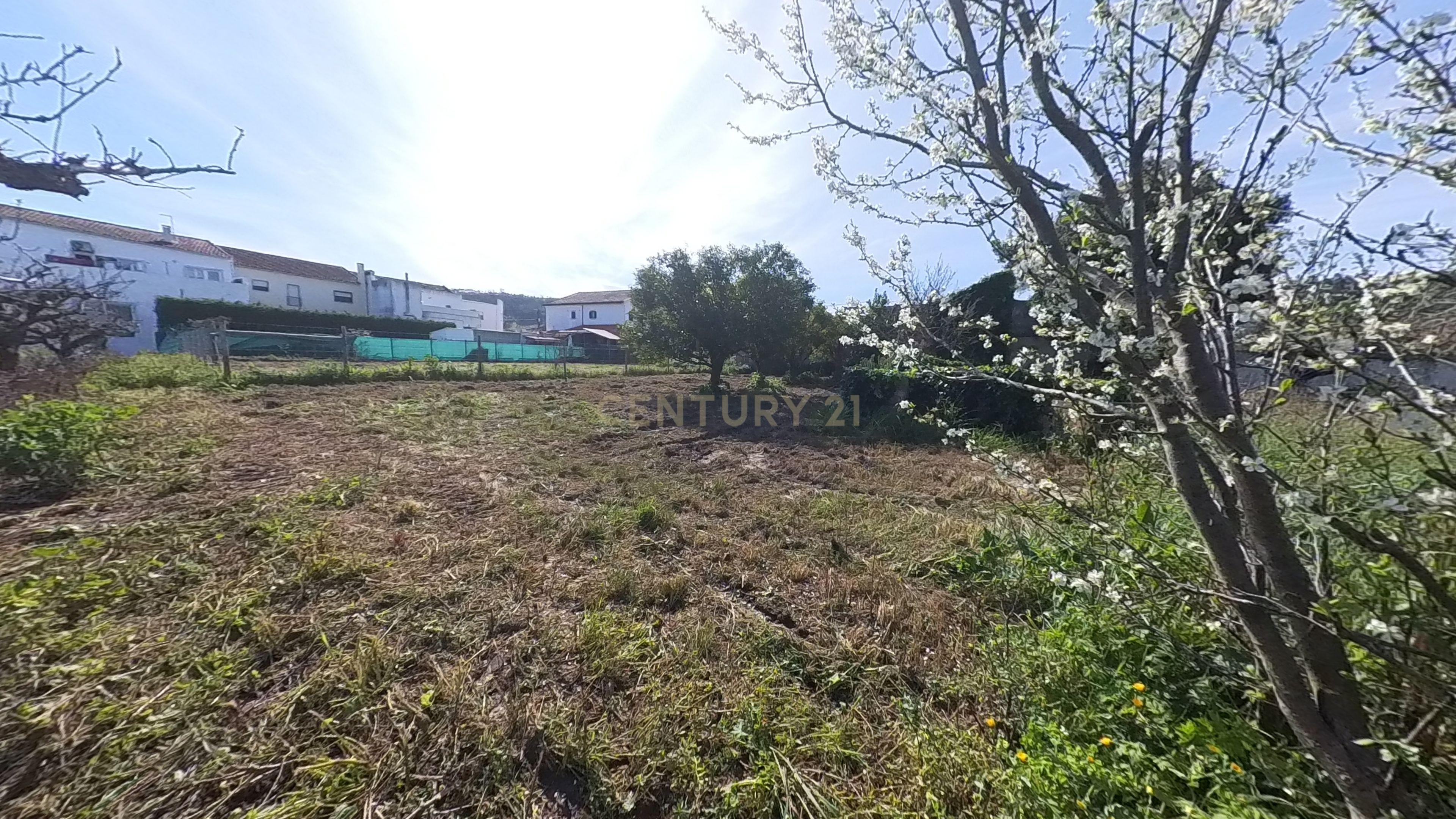 Moradia T3 com Adega e garagens no Vilar - Image 70