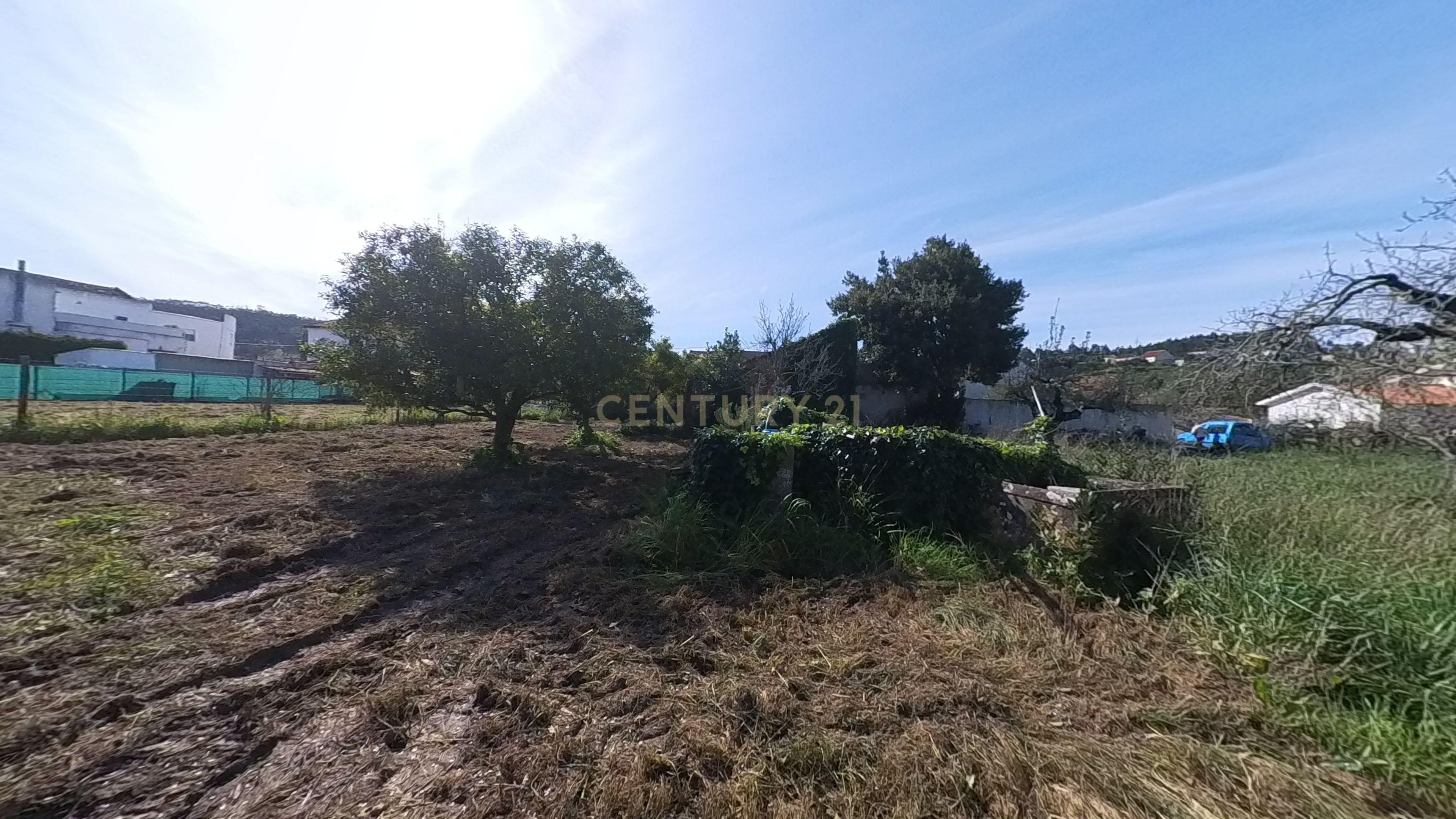 Moradia T3 com Adega e garagens no Vilar - Image 69
