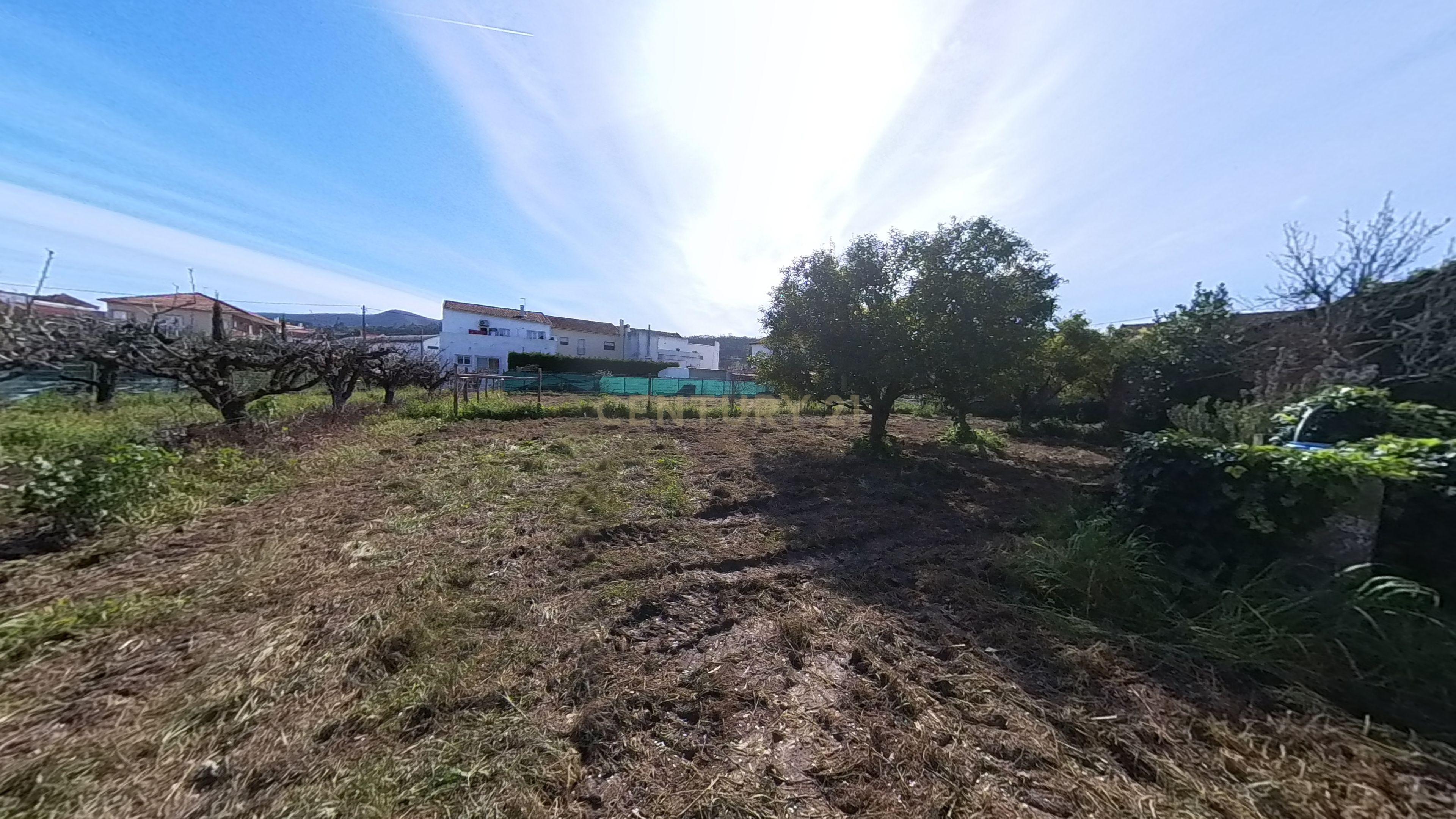 Moradia T3 com Adega e garagens no Vilar - Image 68