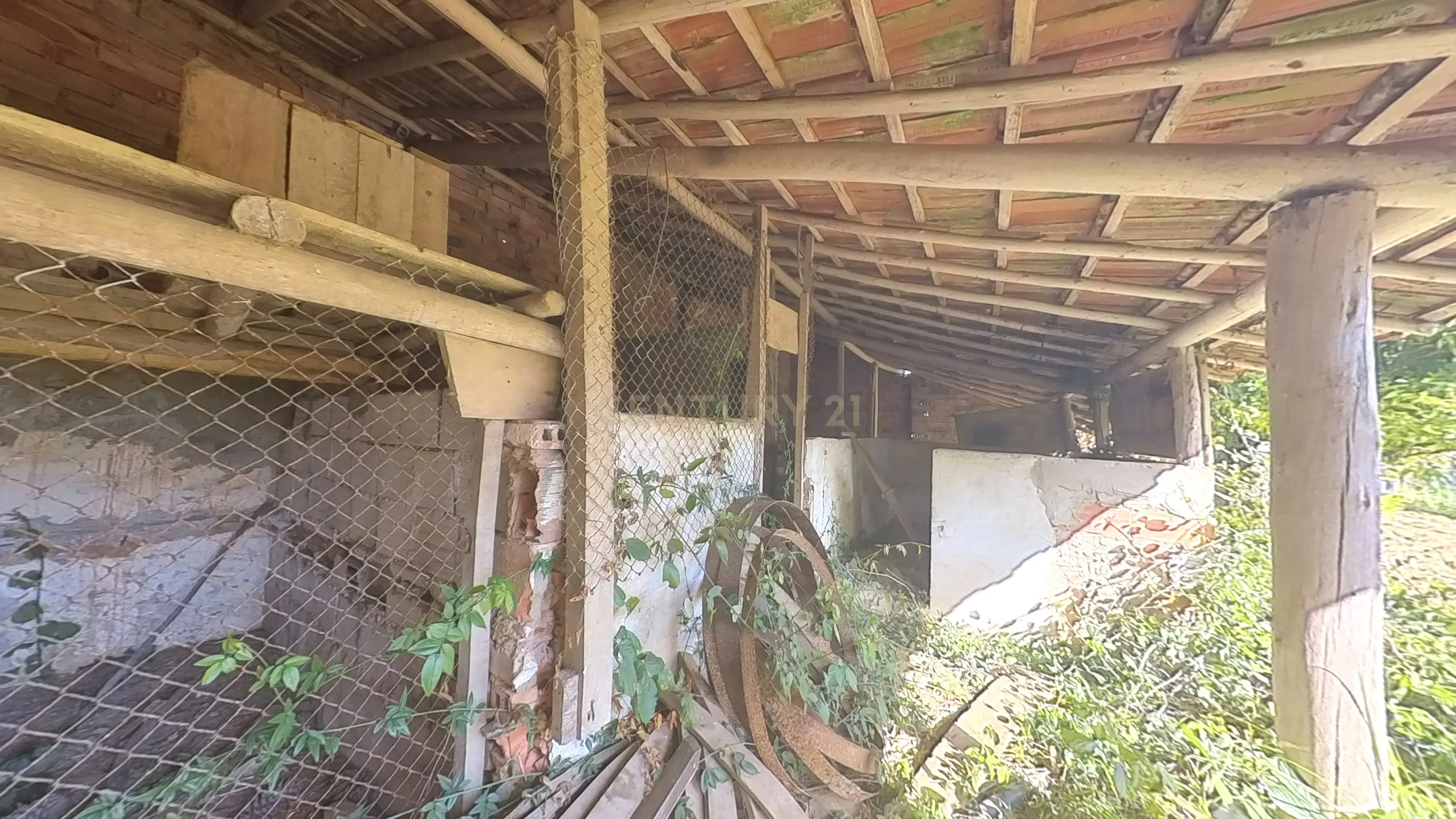 Moradia T3 com Adega e garagens no Vilar - Image 63