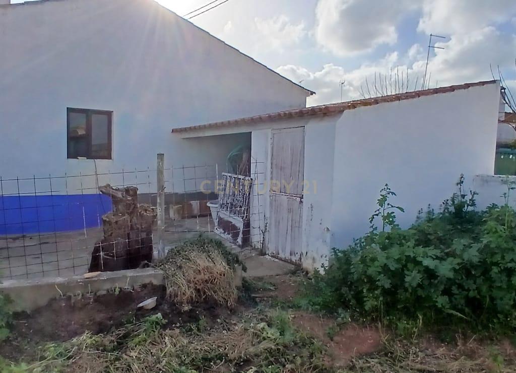 Mina de São Domingos a 11 Minutos - Moradia T3 com Quintal e Garagem em Vale do Poço, Santana de Cambas, Mértola - Image 14