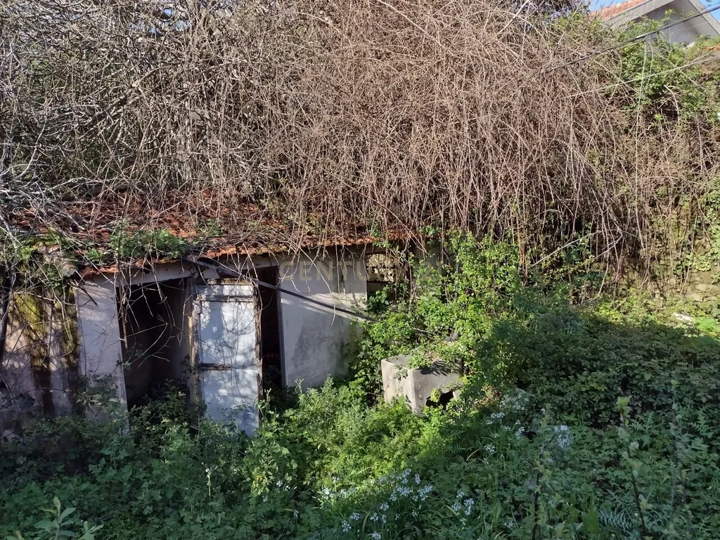 Moradia para remodelação e Terreno | Anta, Espinho - Image 9