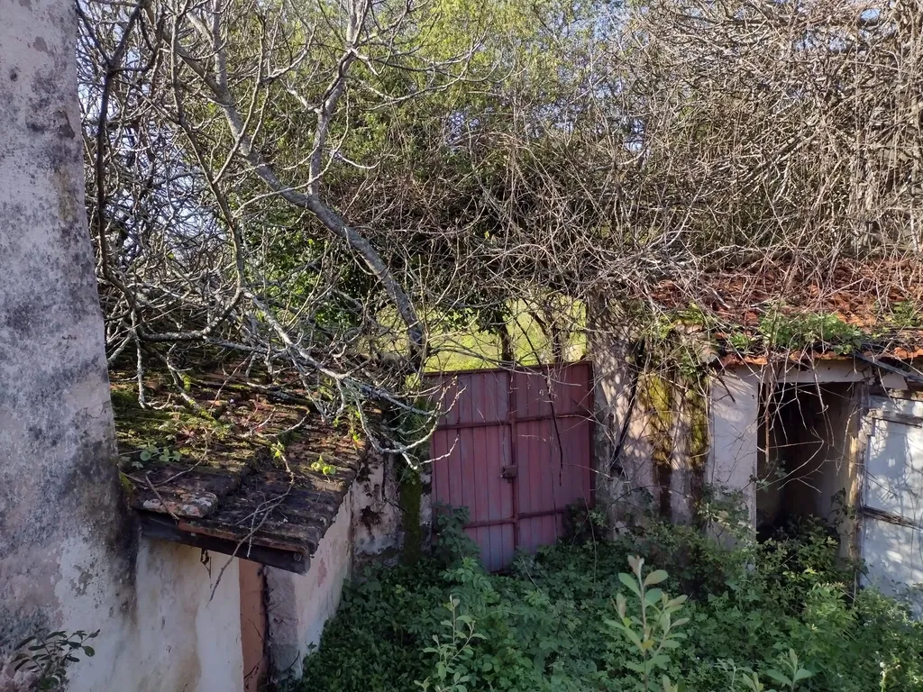 Moradia para remodelação e Terreno | Anta, Espinho - Image 10