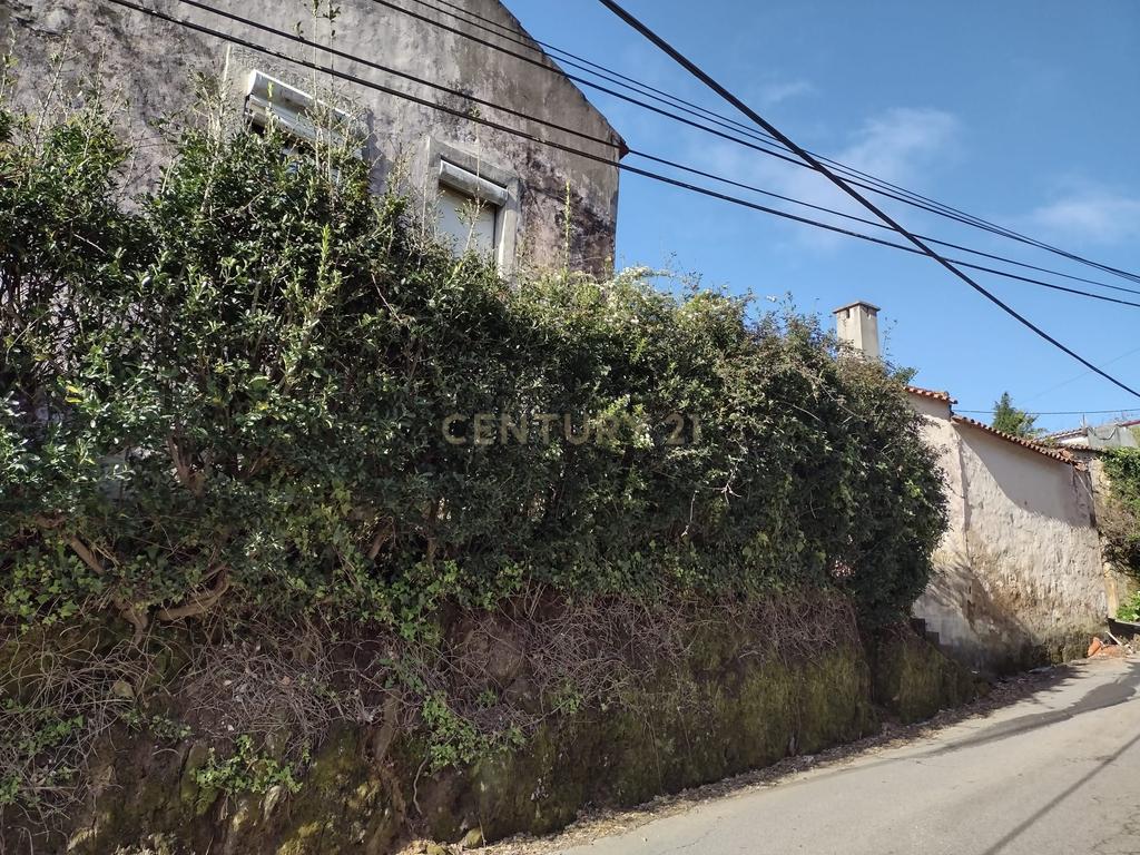 Moradia para remodelação e Terreno | Anta, Espinho - Image 6