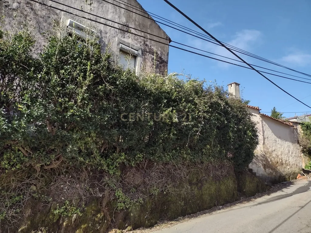 Moradia para remodelação e Terreno | Anta, Espinho - Image 6