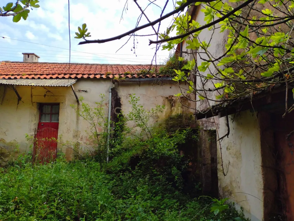 Moradia para remodelação e Terreno | Anta, Espinho - Image 11