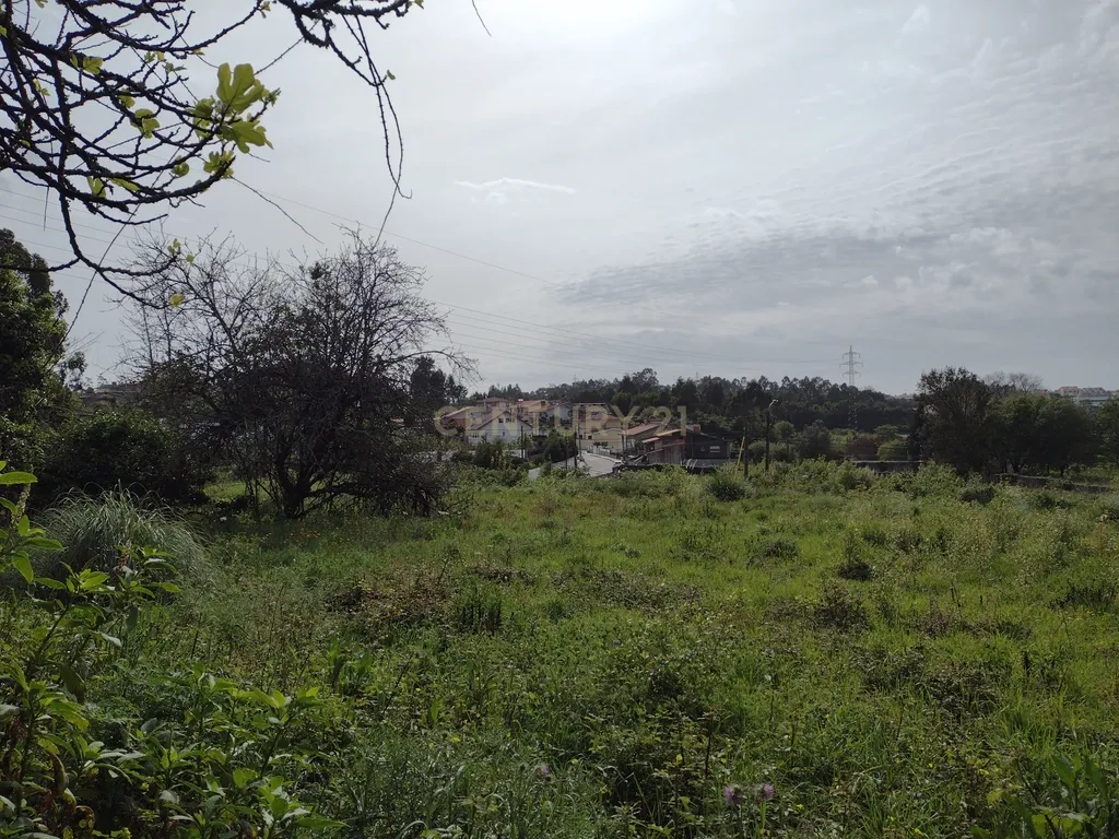 Moradia para remodelação e Terreno | Anta, Espinho - Image 23