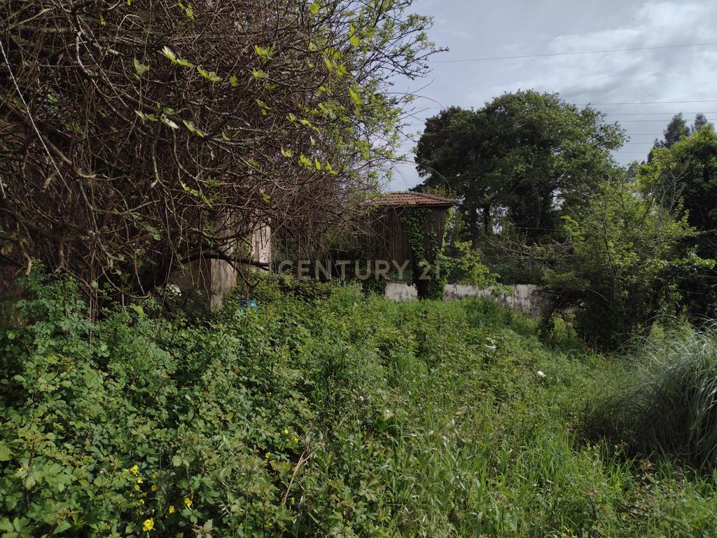 Moradia para remodelação e Terreno | Anta, Espinho - Image 25