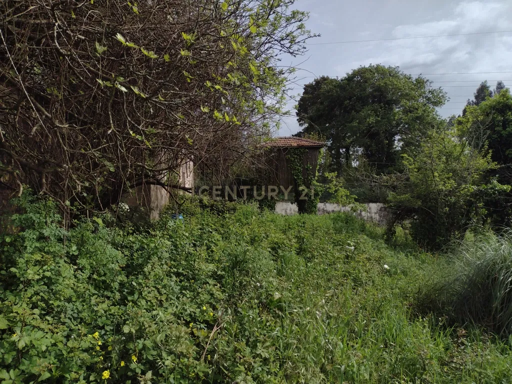 Moradia para remodelação e Terreno | Anta, Espinho - Image 25