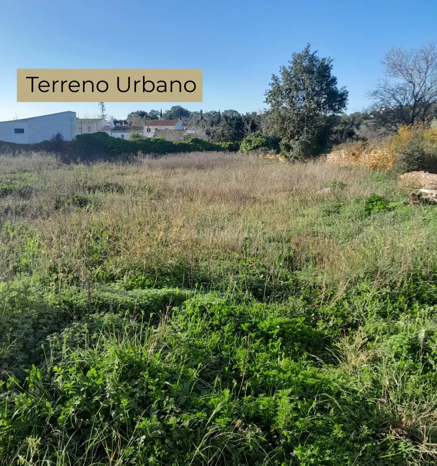 Terreno Urbano para Construção DE 480m2 - Paderne - Image 1