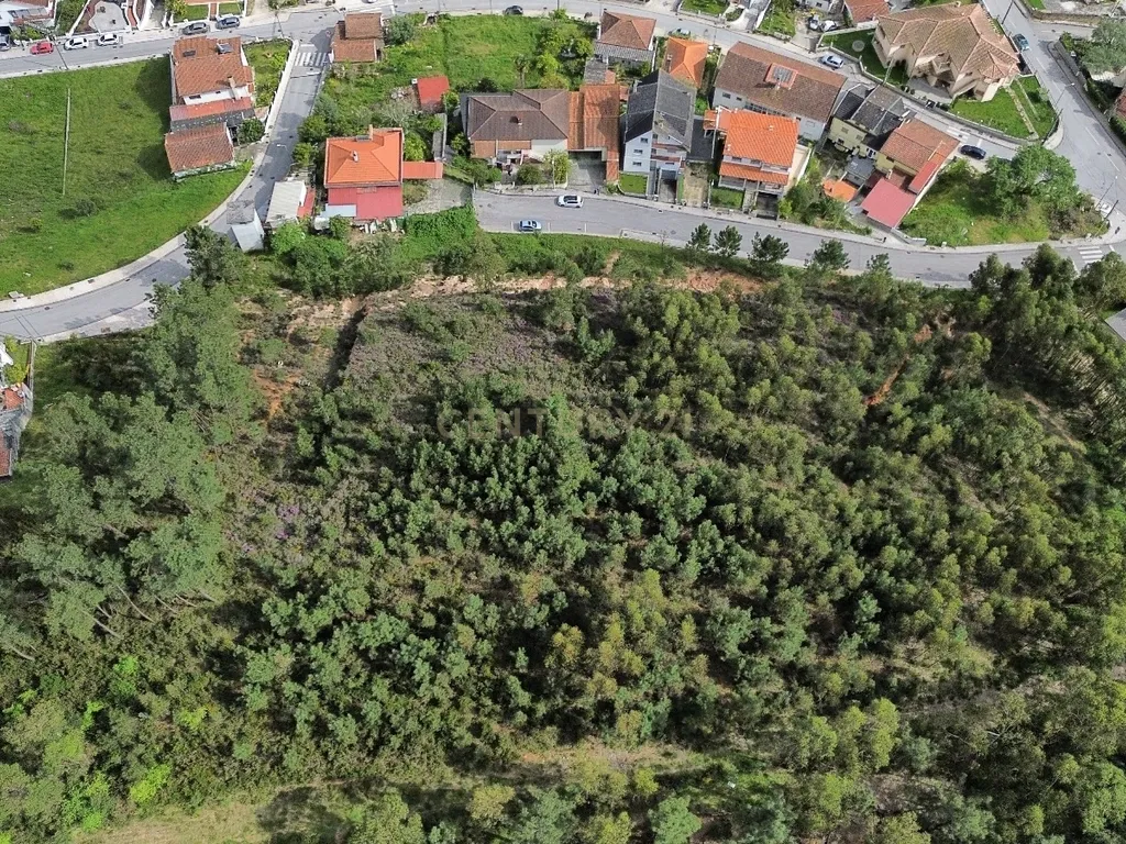Excelente lote para construção II Governos II Pombal - Image 36