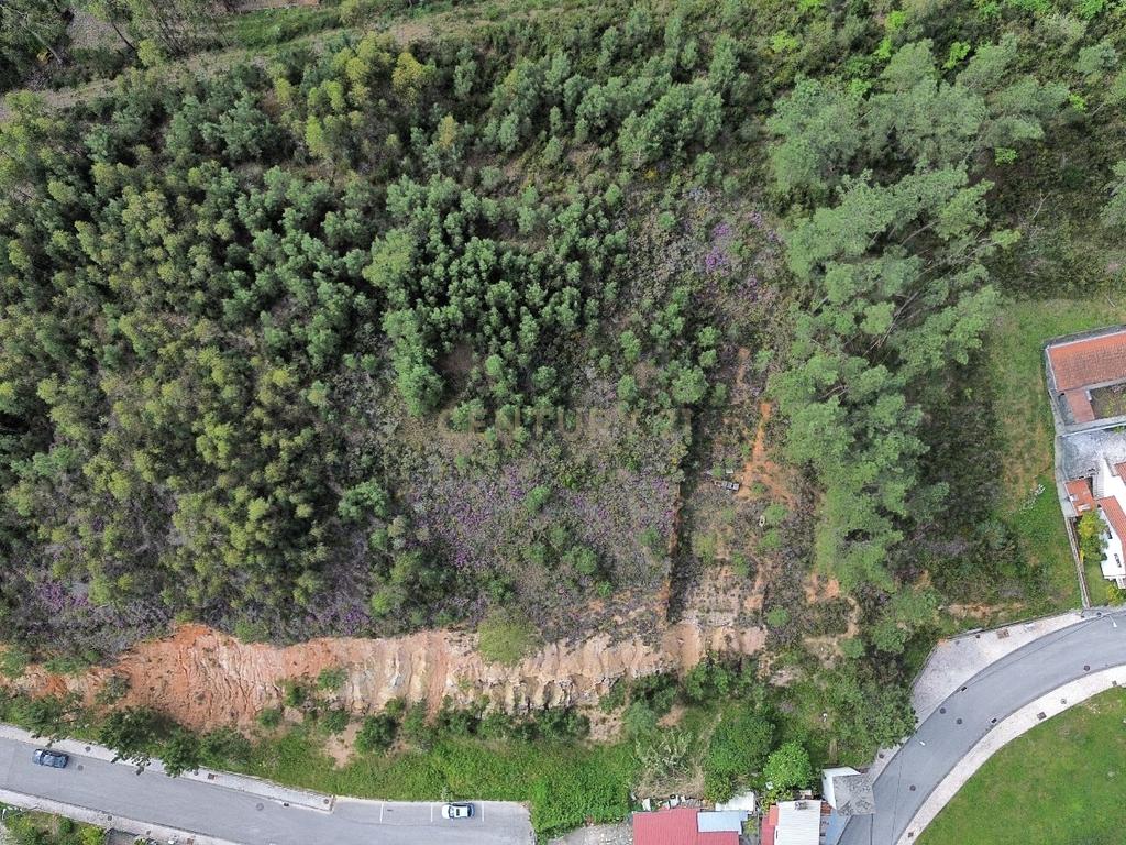 Excelente lote para construção II Governos II Pombal - Image 19