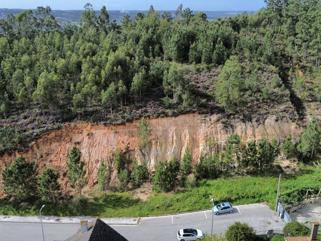 Excelente lote para construção II Governos II Pombal - Image 3