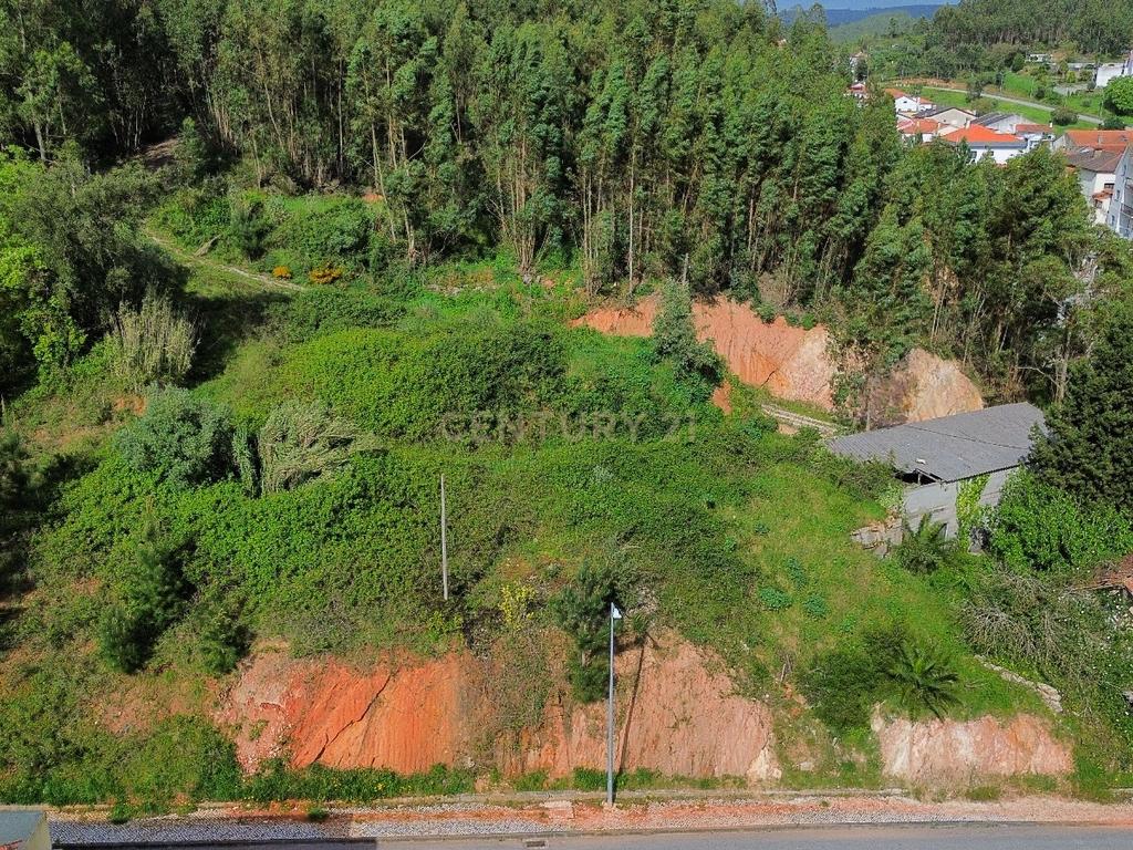 Excelente lote para construção II Governos II Pombal - Image 2