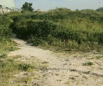 Terreno - Image 1