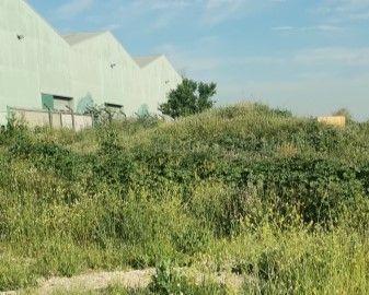 Terreno - Image 6
