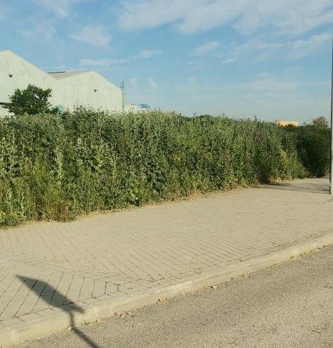 Terreno - Image 4