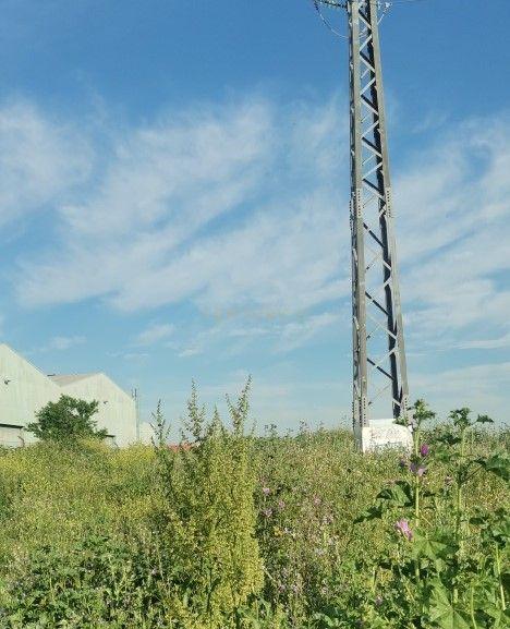 Terreno - Image 5