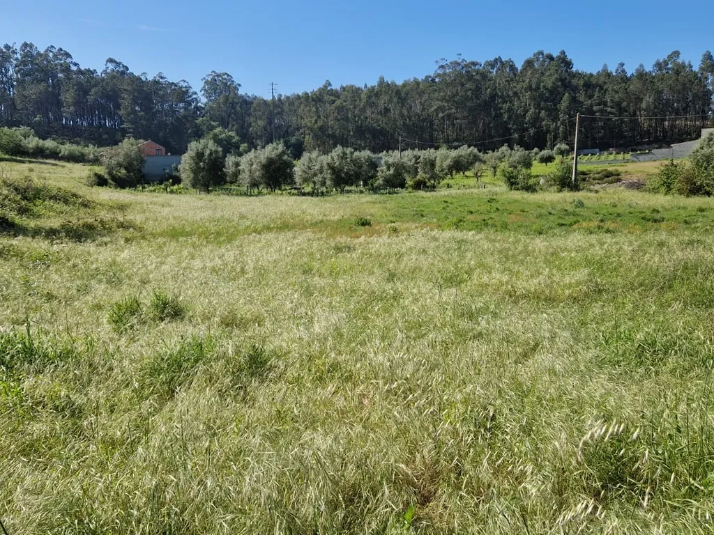 Terreno para construção á venda - Albergaria dos doze - Image 6