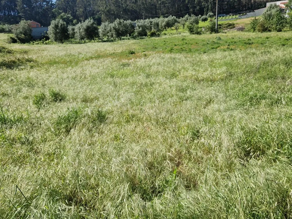 Terreno para construção á venda - Albergaria dos doze - Image 4