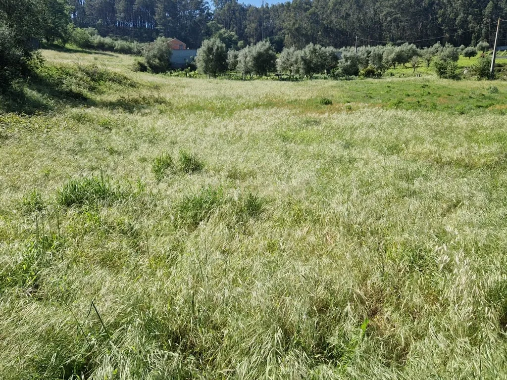 Terreno para construção á venda - Albergaria dos doze - Image 5