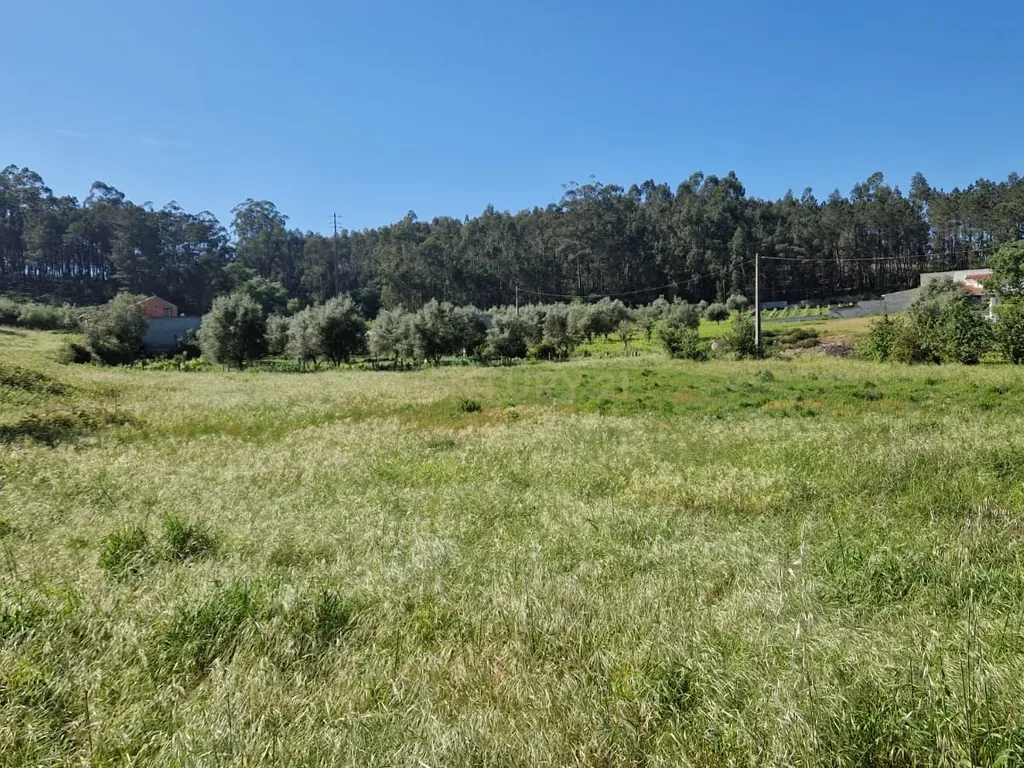 Terreno para construção á venda - Albergaria dos doze - Image 17