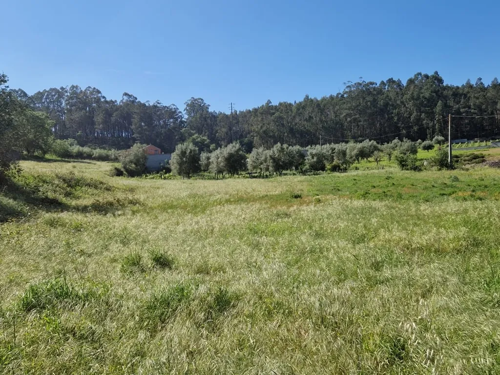 Terreno para construção á venda - Albergaria dos doze - Image 11
