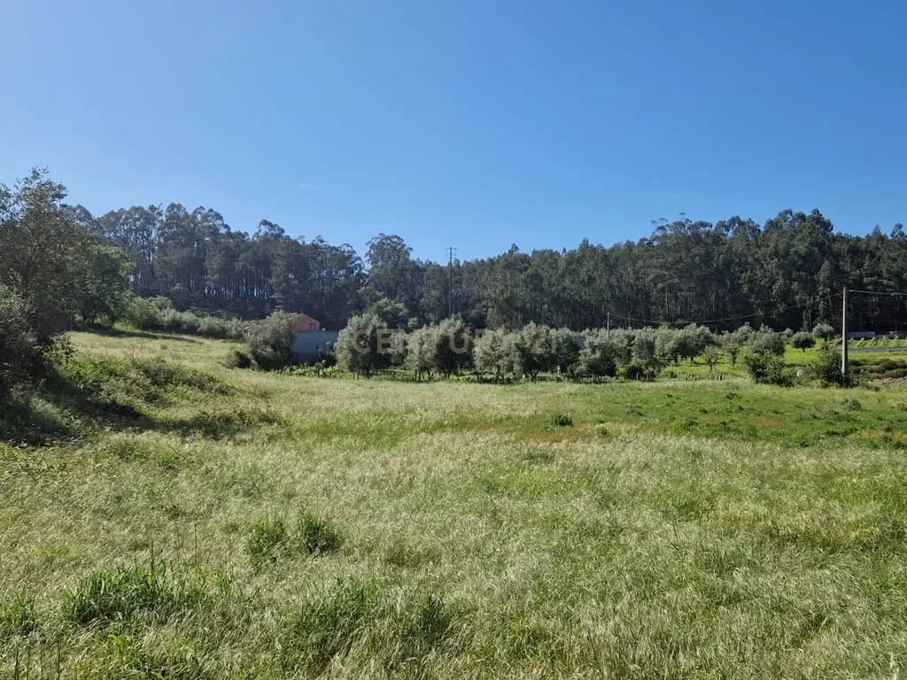 Terreno para construção á venda - Albergaria dos doze - Image 8