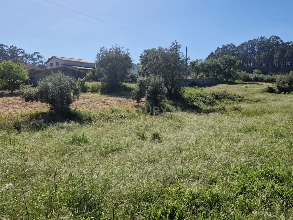 Terreno para construção á venda - Albergaria dos doze - Image 7