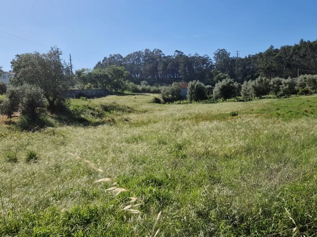 Terreno para construção á venda - Albergaria dos doze - Image 12
