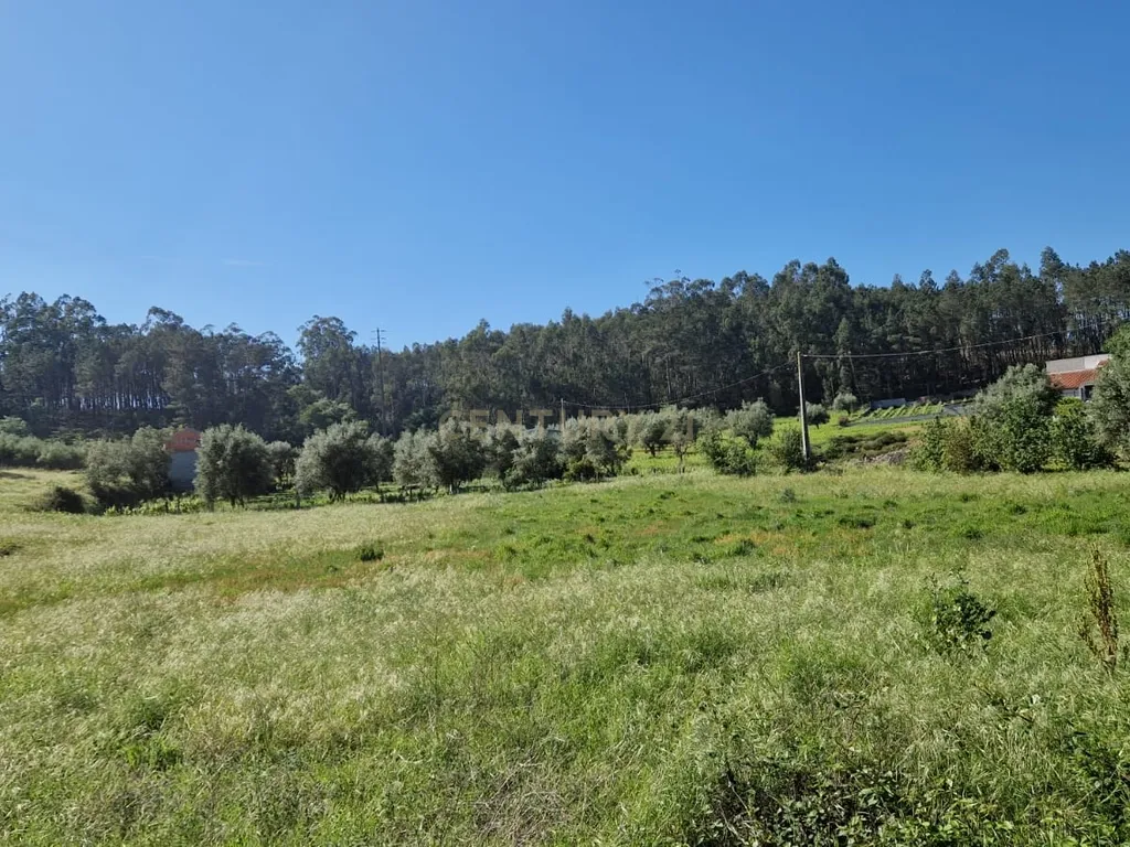 Terreno para construção á venda - Albergaria dos doze - Image 13