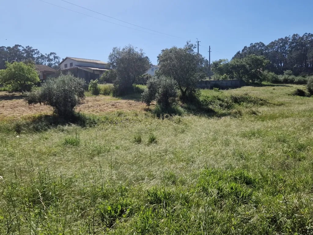 Terreno para construção á venda - Albergaria dos doze - Image 9