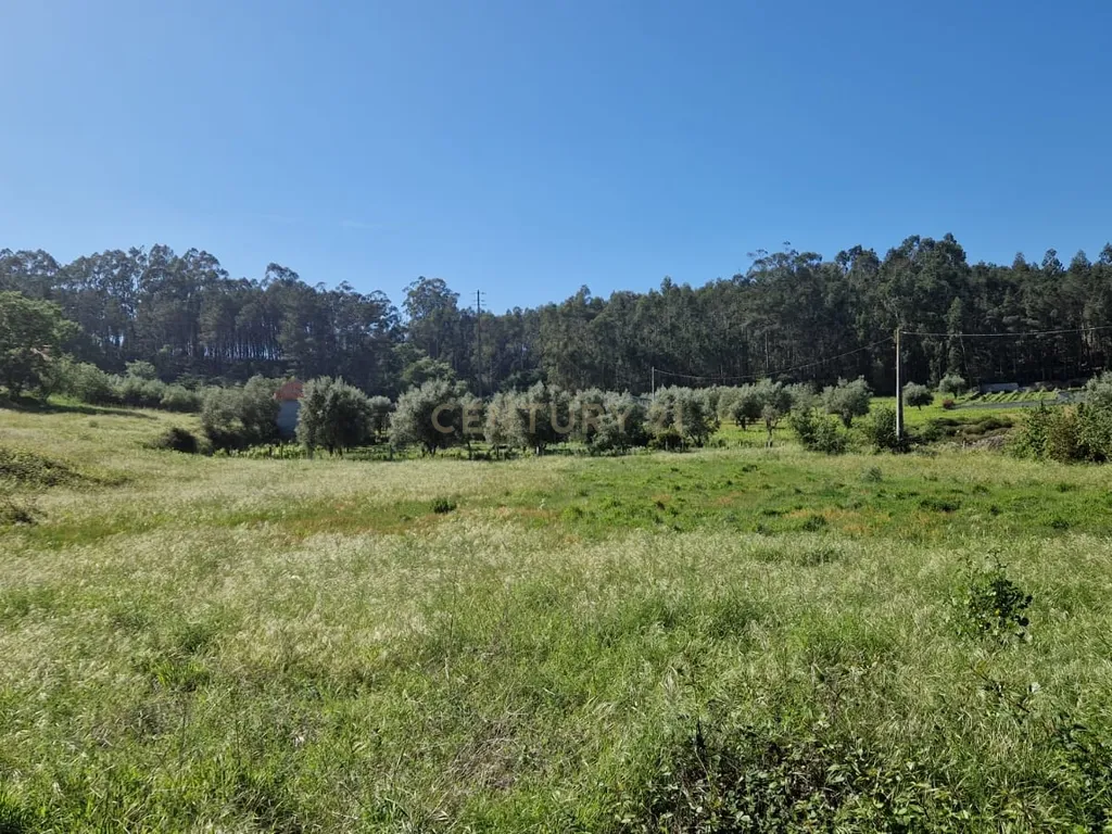 Terreno para construção á venda - Albergaria dos doze - Image 10