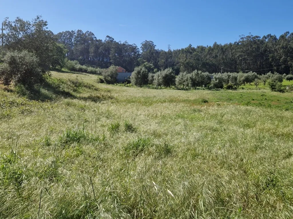 Terreno para construção á venda - Albergaria dos doze - Image 1