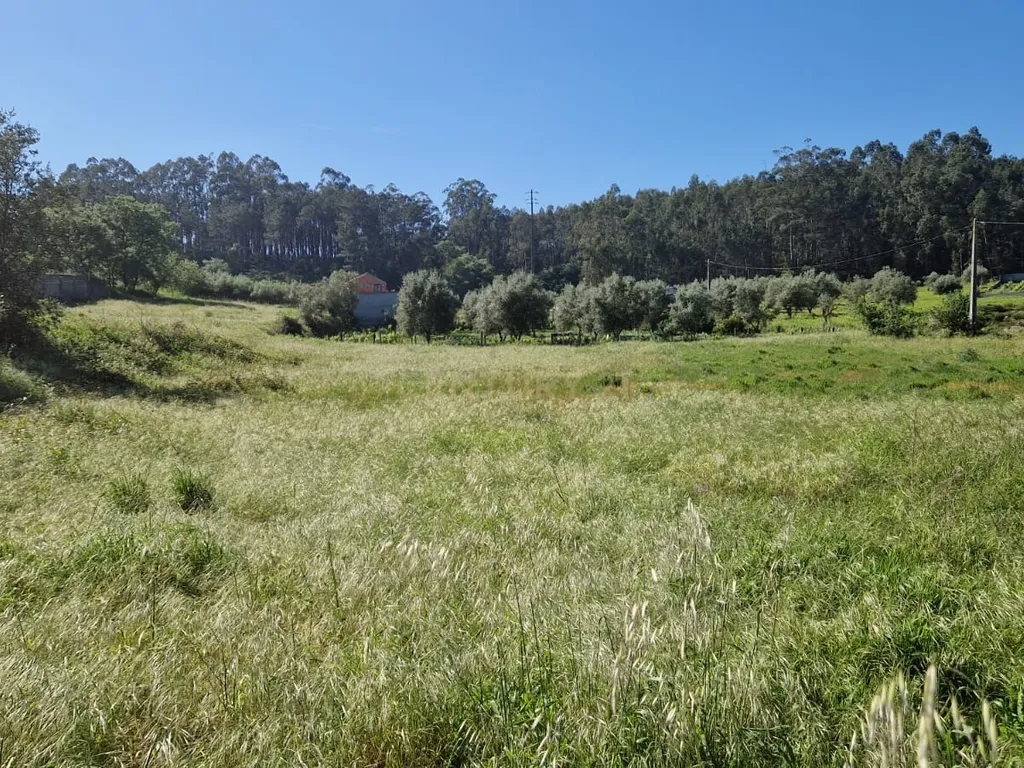 Terreno para construção á venda - Albergaria dos doze - Image 20
