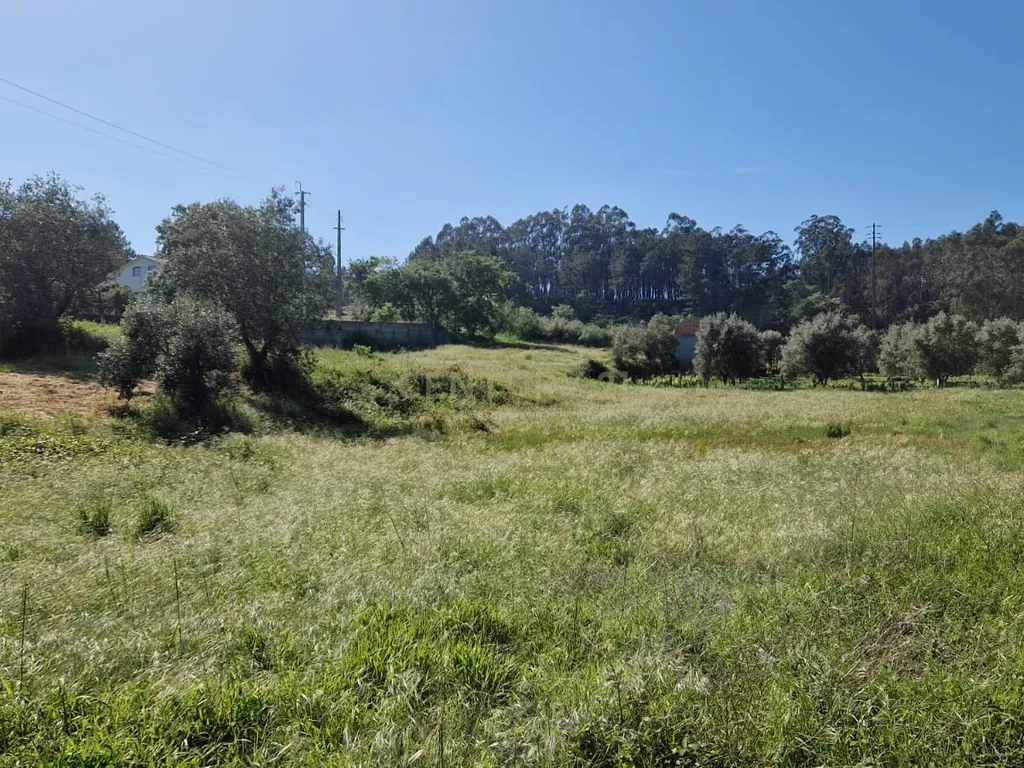 Terreno para construção á venda - Albergaria dos doze - Image 16