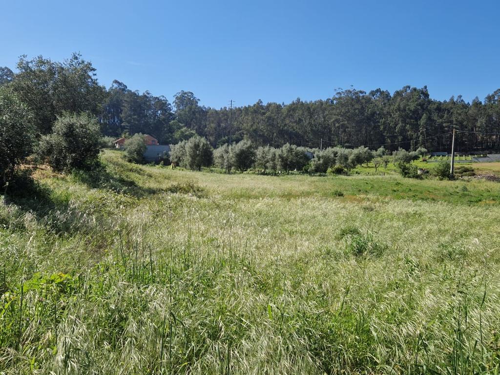 Terreno para construção á venda - Albergaria dos doze - Image 19