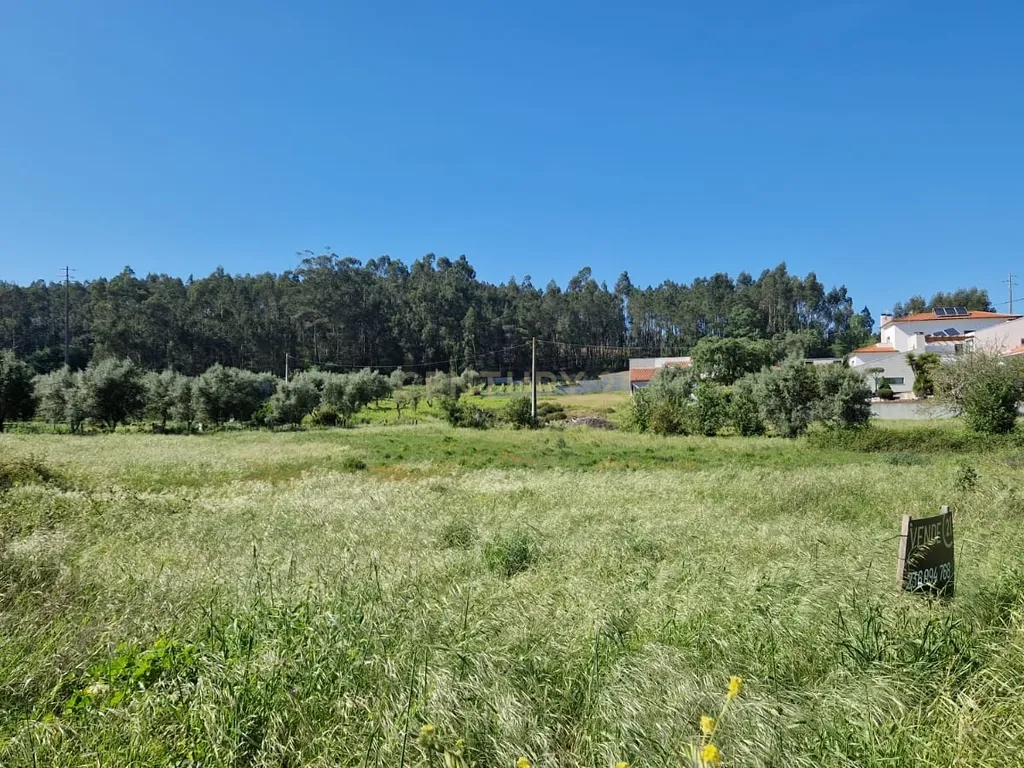 Terreno para construção á venda - Albergaria dos doze - Image 14