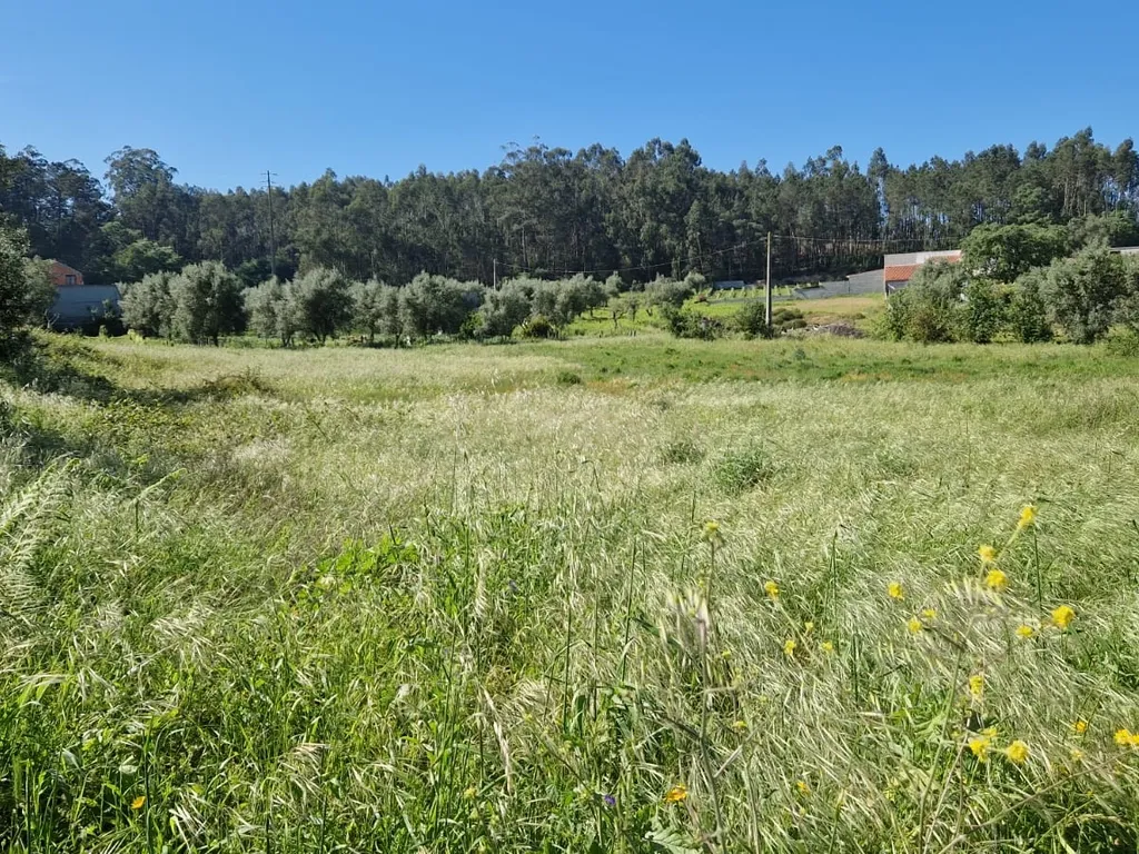 Terreno para construção á venda - Albergaria dos doze - Image 15