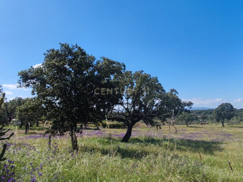 undefined - Image 73
