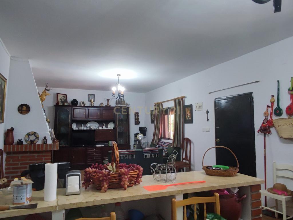 undefined - Image 11