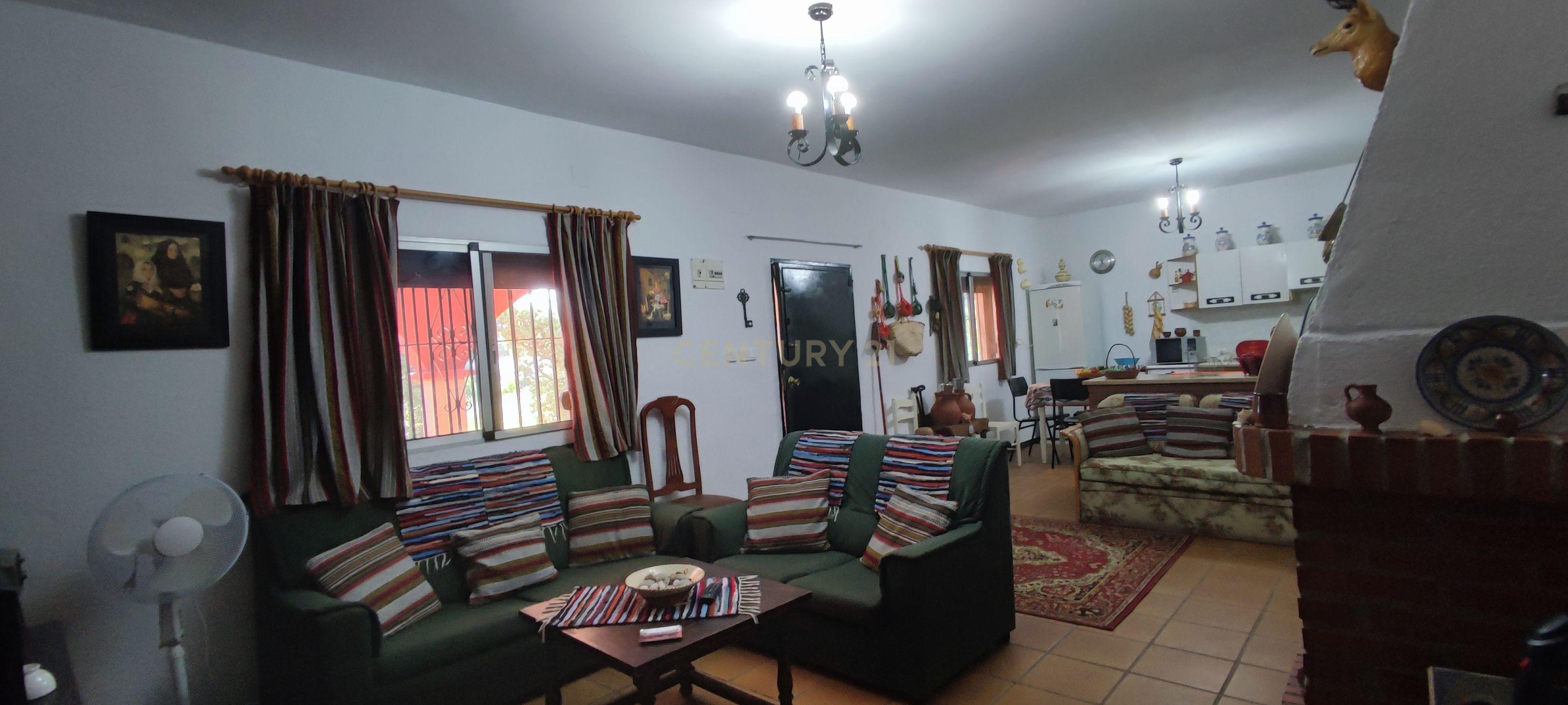 undefined - Image 4