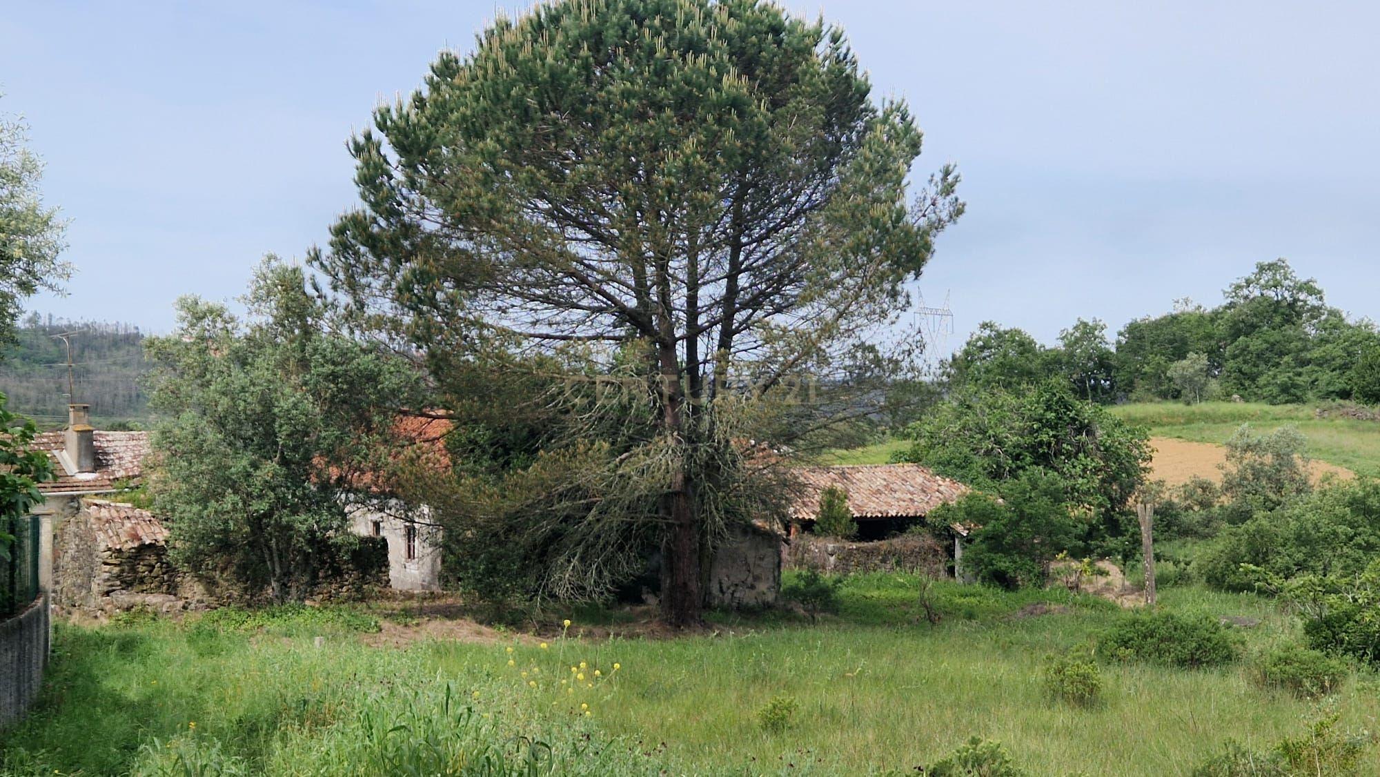 Fantástica Casa de Pedra - Colmeias - Image 22