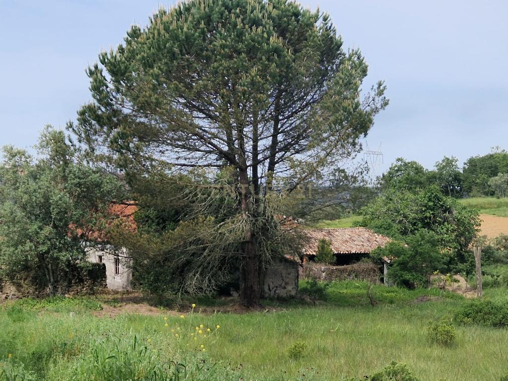 Fantástica Casa de Pedra - Colmeias - Image 22