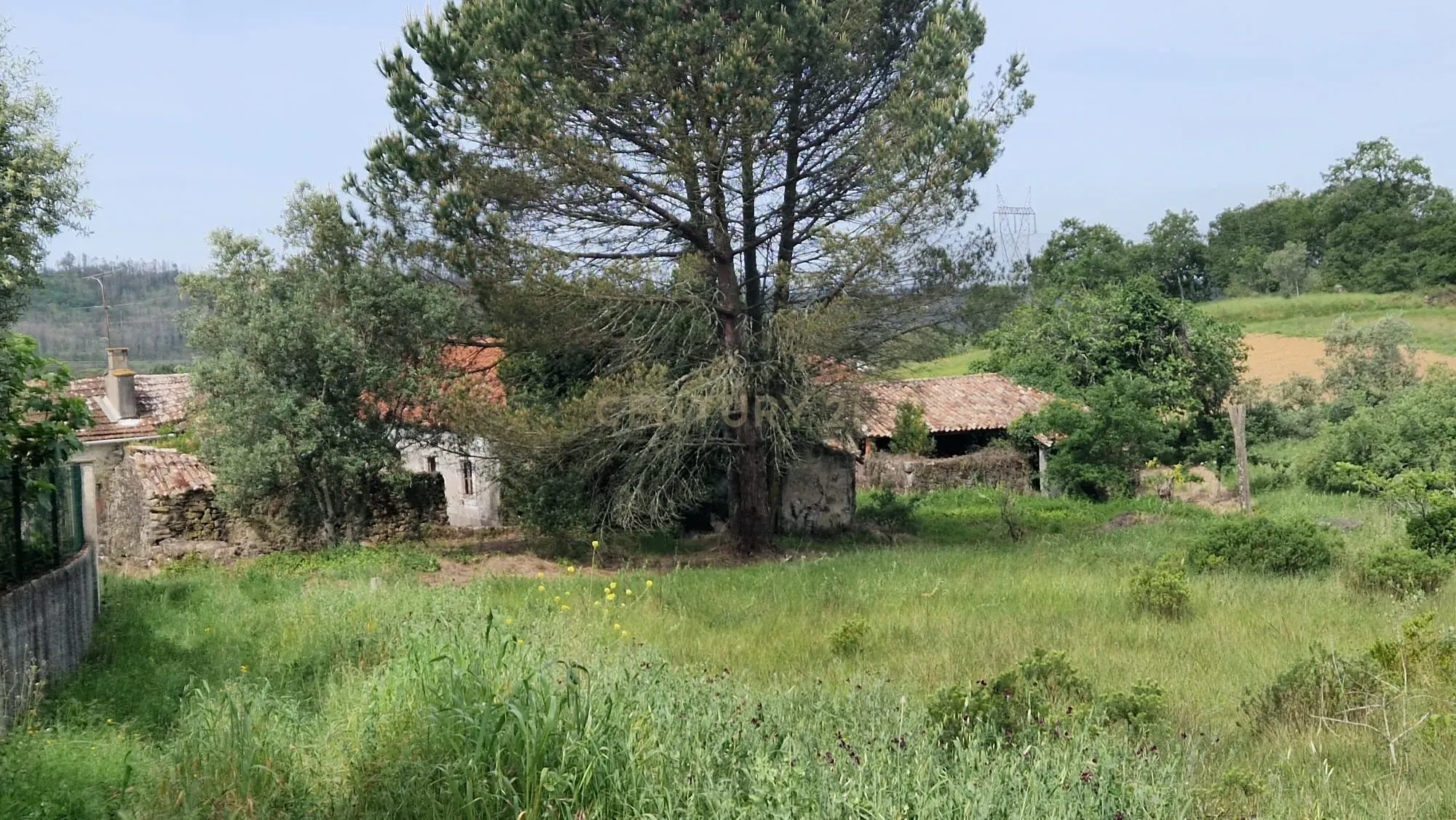 Fantástica Casa de Pedra - Colmeias - Image 18