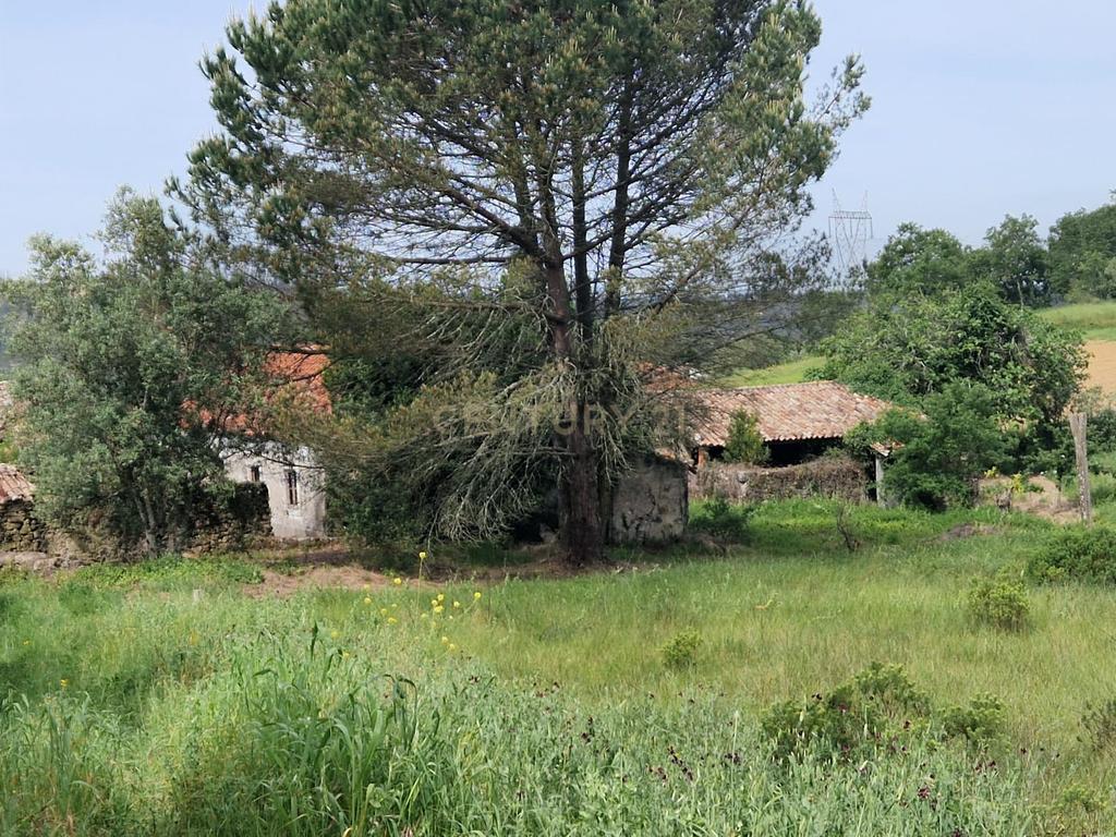 Fantástica Casa de Pedra - Colmeias - Image 18