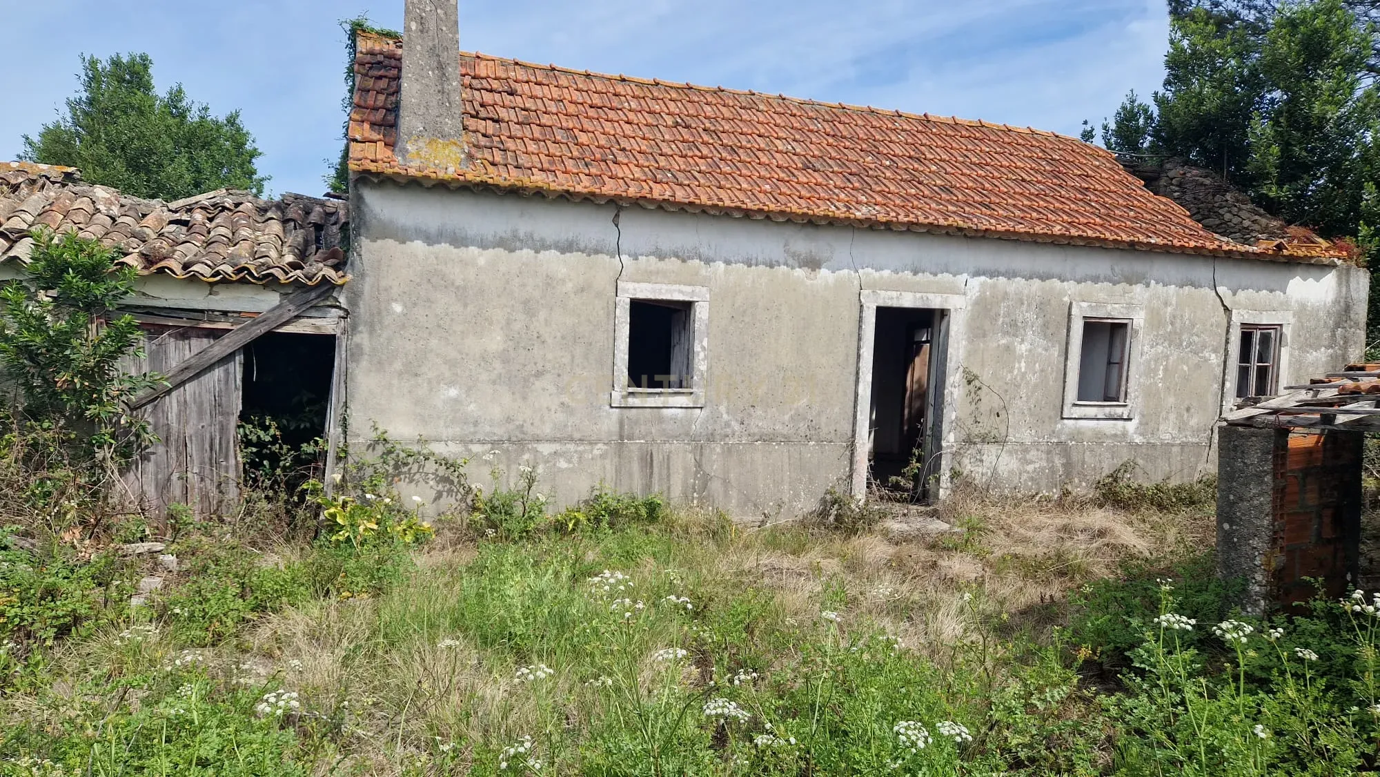 Fantástica Casa de Pedra - Colmeias - Image 1