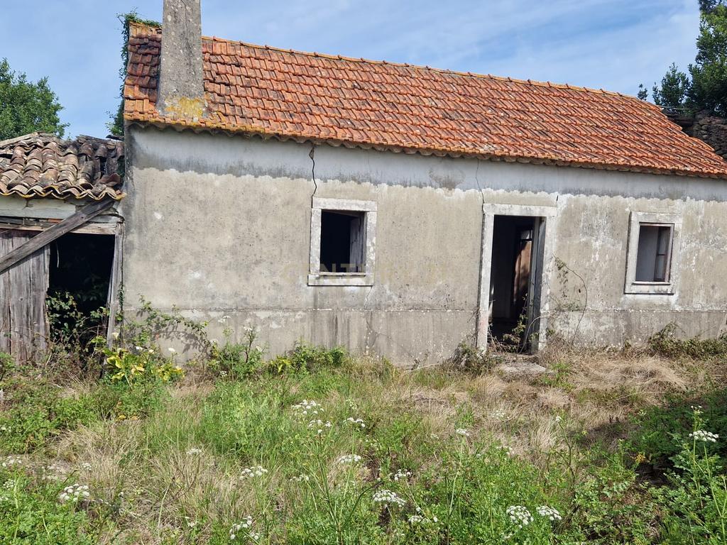 Fantástica Casa de Pedra - Colmeias - Image 1