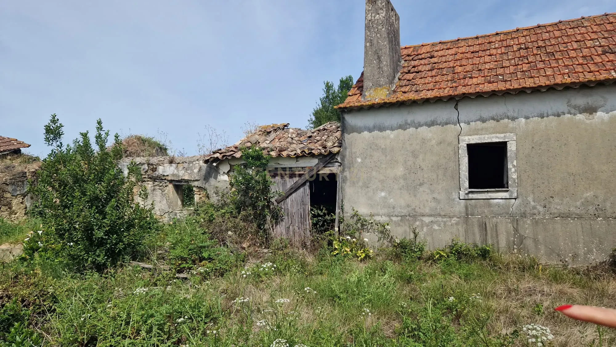 Fantástica Casa de Pedra - Colmeias - Image 3